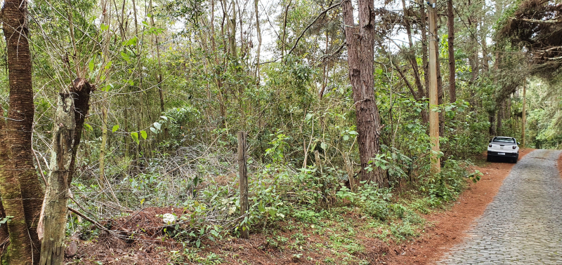 Terreno à venda, 218500m² - Cascatinha,Nova Friburgo