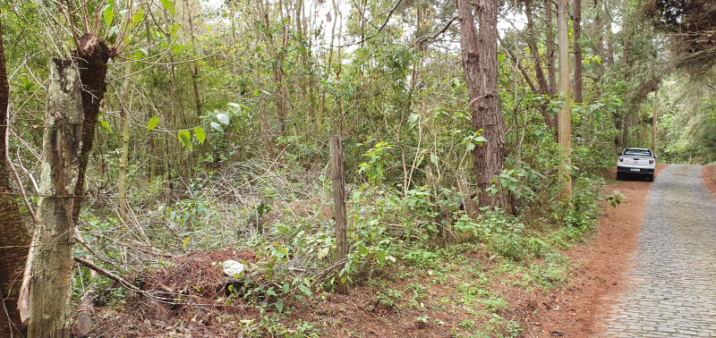 Terreno à venda, 218500m² - Cascatinha,Nova Friburgo
