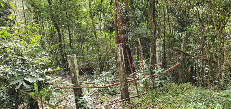  - Propriedade de 21.859,25 m² no Alto da Caledônia Friburgo/RJ